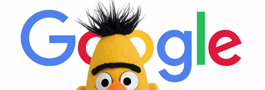 google bert algorithm